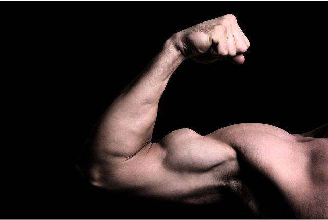 How to get big biceps