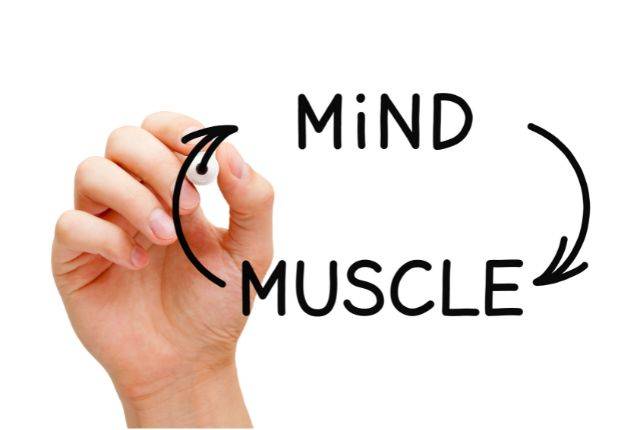 mind muscle connection